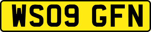 WS09GFN