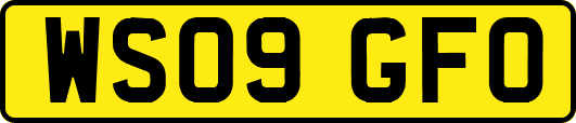 WS09GFO
