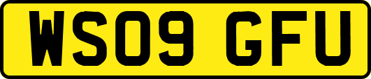 WS09GFU