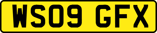 WS09GFX