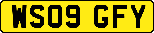 WS09GFY