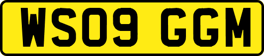 WS09GGM