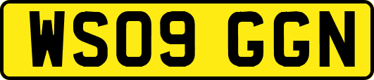 WS09GGN