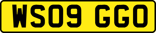WS09GGO
