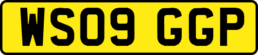 WS09GGP