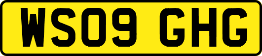 WS09GHG