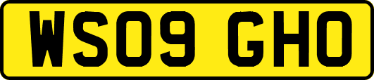 WS09GHO