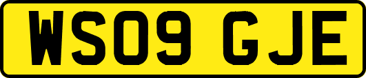WS09GJE