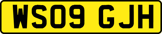 WS09GJH