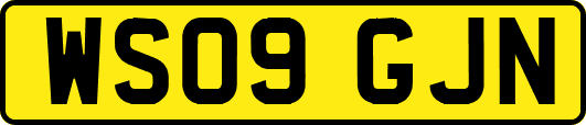 WS09GJN