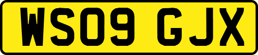 WS09GJX