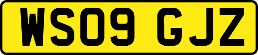 WS09GJZ
