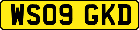 WS09GKD