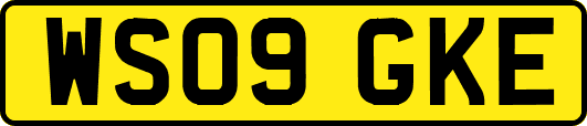 WS09GKE