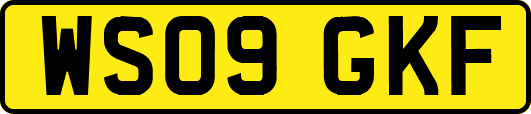 WS09GKF
