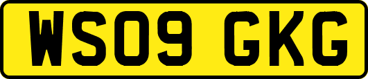 WS09GKG