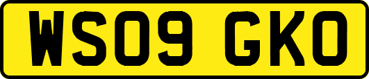 WS09GKO