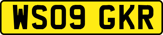 WS09GKR
