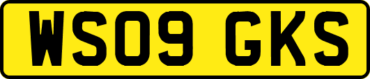WS09GKS