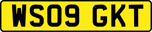 WS09GKT