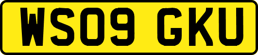 WS09GKU