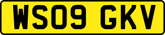 WS09GKV
