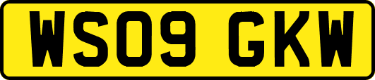 WS09GKW