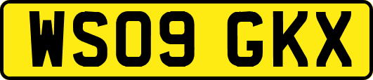 WS09GKX