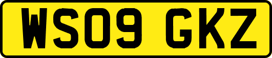 WS09GKZ
