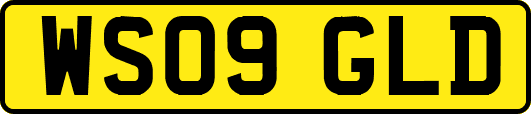WS09GLD