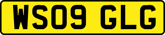 WS09GLG