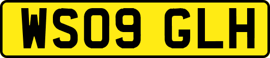 WS09GLH