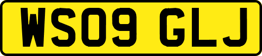 WS09GLJ