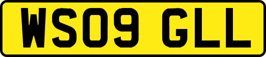 WS09GLL