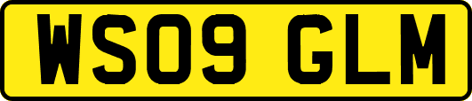 WS09GLM