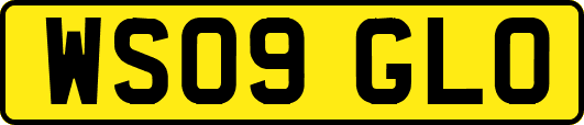 WS09GLO