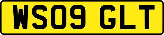 WS09GLT