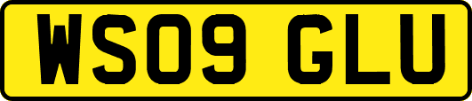 WS09GLU