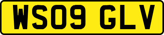 WS09GLV
