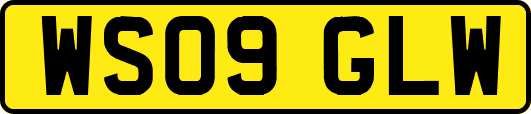 WS09GLW