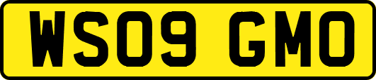 WS09GMO