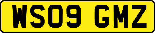 WS09GMZ