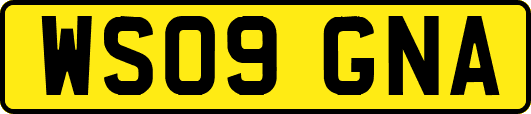 WS09GNA