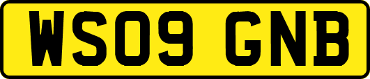 WS09GNB