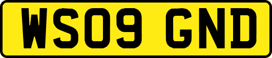 WS09GND