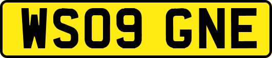 WS09GNE