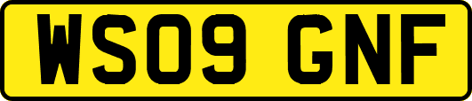 WS09GNF