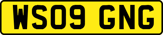 WS09GNG