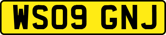 WS09GNJ