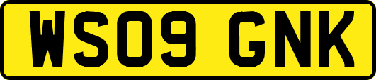 WS09GNK